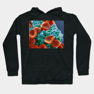 Red blood cells and platelets, SEM (C029/3211) Hoodie